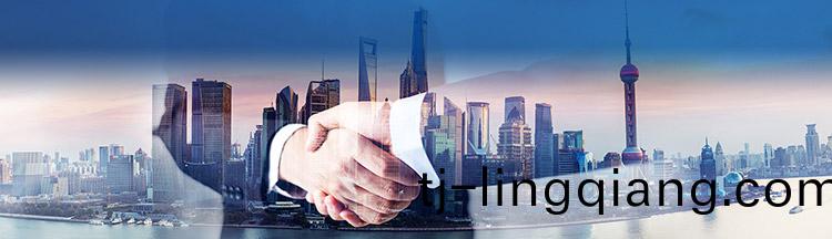 山東橋(qiao)建機(ji)械(xie)有限(xian)公(gong)司