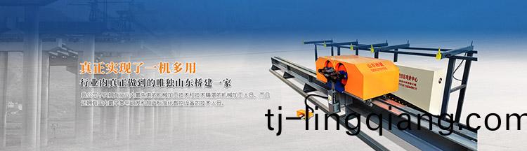 山(shan)東(dong)橋建機械有(you)限(xian)公司